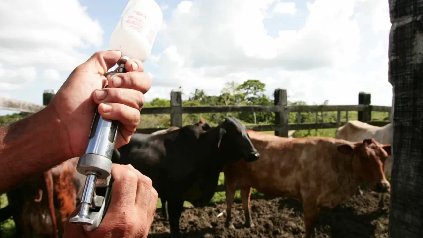 governo-vai-pedir-a-china-que-reconheca-brasil-como-pais-livre-de-febre-aftosa