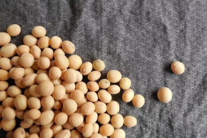 com-safra-recorde,-soja-e-biodiesel-podem-representar-6,4%-do-pib-nacional