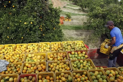 distribuidora-americana-de-suco-de-laranja-contesta-na-justica-tarifas-de-trump-ao-brasil