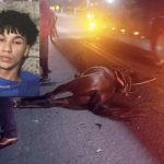 jovem-morre-em-colisao-entre-moto-e-cavalo-na-br-367-em-eunapolis