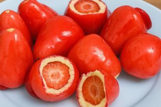 conselho-federal-de-odontologia-alerta-sobre-riscos-do-morango-do-amor