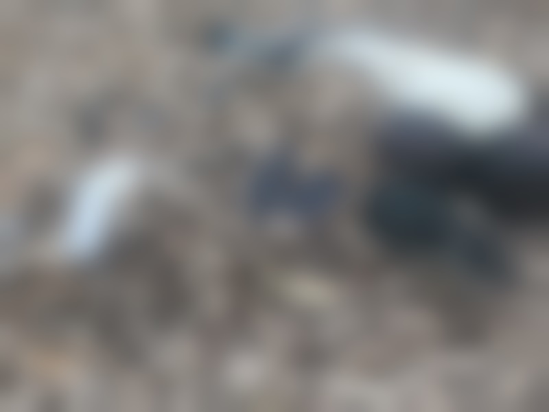 casal-desaparecido-e-encontrado-morto-em-area-de-mata-na-zona-rural-de-alcobaca