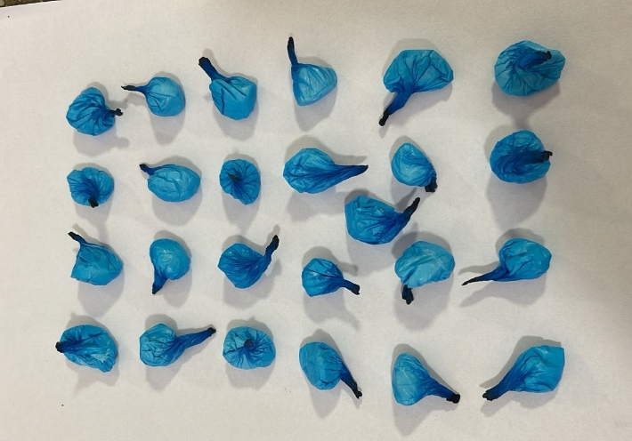 pm-apreende-adolescente-por-ato-infracional-de-trafico-de-drogas-em-teixeira