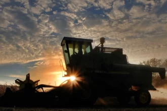 conab:-11a-previsao-da-safra-2024/25-indica-recorde-de-345,23-milhoes-de-toneladas