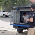 briga-por-gaiola-de-passarinho-termina-com-homem-morto-na-zona-rural