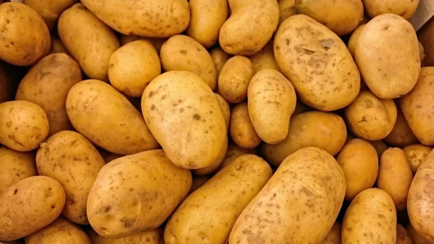 batata-e-cebola-estao-mais-baratas,-diz-conab