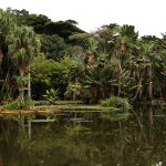 concurso-de-fotografia-integra-programacao-do-dia-mundial-da-limpeza