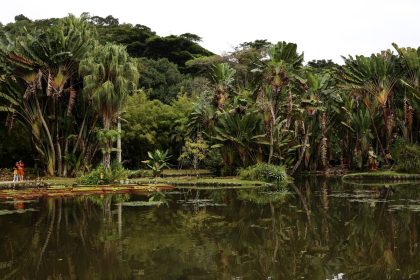 concurso-de-fotografia-integra-programacao-do-dia-mundial-da-limpeza