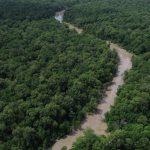 programacao-do-dia-da-amazonia-mobiliza-para-cop30