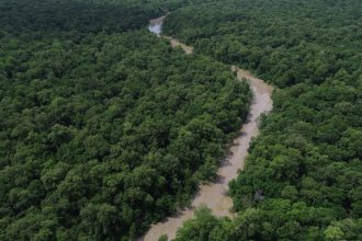 programacao-do-dia-da-amazonia-mobiliza-para-cop30