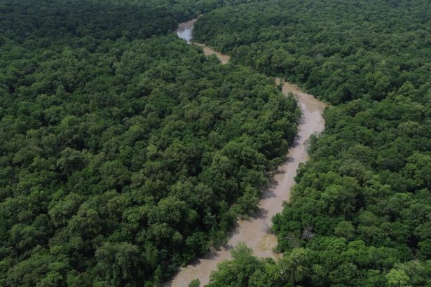 programacao-do-dia-da-amazonia-mobiliza-para-cop30