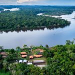 bndes-lanca-edital-voltado-para-recuperacao-da-floresta-amazonia