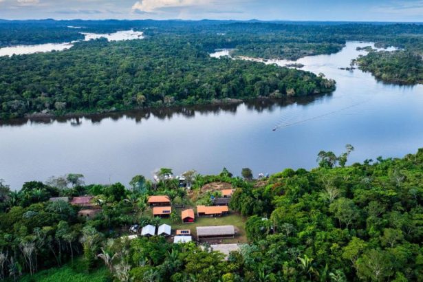 bndes-lanca-edital-voltado-para-recuperacao-da-floresta-amazonia