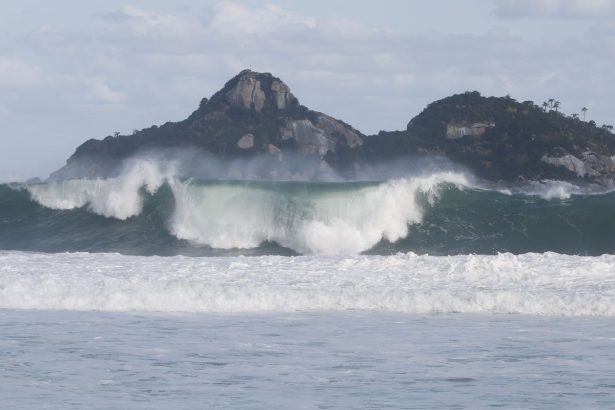 jovens-de-9-paises-participam-de-curso-de-pesquisas-oceanicas-no-rio