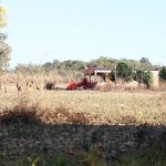 defesa-de-fazendeiros-em-goias-contesta-decisao-sobre-quilombolas