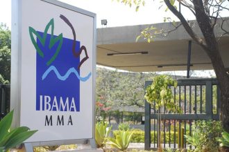 governo-autoriza-nomeacao-de-460-aprovados-em-concurso-do-ibama