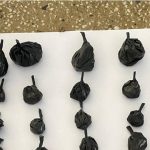 teixeira:-operacao-pegasus-prende-suspeito-com-drogas-nas-imediacoes-da-pituba