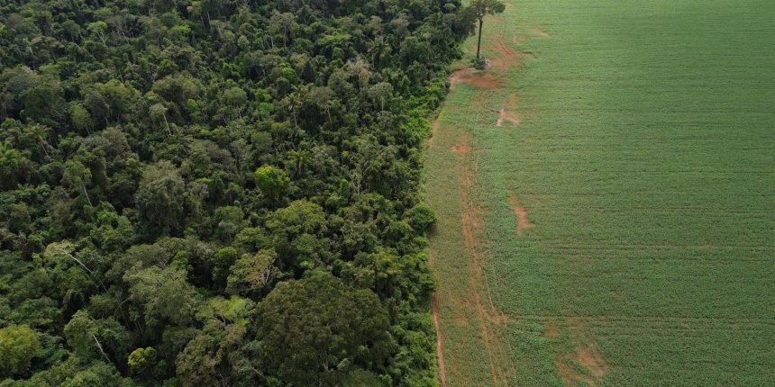 estados-e-df-devem-padronizar-autorizacao-de-supressao-de-vegetacao