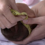 governo-regulamenta-indenizacao-e-pensao-a-vitimas-do-virus-zika