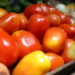 brasil-abre-mercado-para-produto-agropecuario-na-argentina-e-no-paraguai