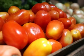 brasil-abre-mercado-para-produto-agropecuario-na-argentina-e-no-paraguai