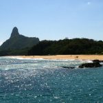 ilhas-brasileiras:-estudo-revela-presenca-de-especies-exclusivas