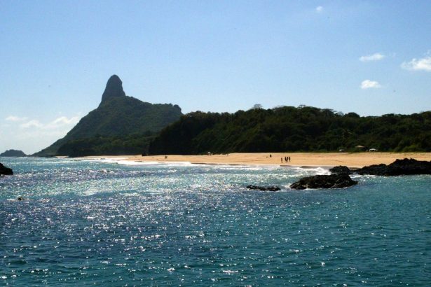 ilhas-brasileiras:-estudo-revela-presenca-de-especies-exclusivas