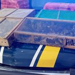 homem-e-preso-com-mais-de-1-mil-aves-silvestres-no-rj;-180-morreram