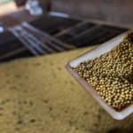 sorriso,-no-mt,-tem-maior-pib-agricola-do-pais;-veja-o-ranking