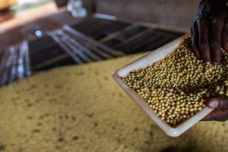 sorriso,-no-mt,-tem-maior-pib-agricola-do-pais;-veja-o-ranking