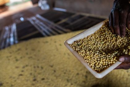 sorriso,-no-mt,-tem-maior-pib-agricola-do-pais;-veja-o-ranking