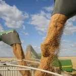brasil-bate-recorde-de-safra-e-atinge-350,2-milhoes-de-toneladas-de-graos-no-ciclo-2024/2025