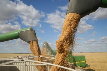 brasil-bate-recorde-de-safra-e-atinge-350,2-milhoes-de-toneladas-de-graos-no-ciclo-2024/2025