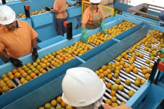 exportacao-de-produtos-atingidos-por-tarifaco-cai-22%-em-agosto