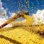 brasil-atinge-novo-recorde-com-350-milhoes-de-toneladas-de-graos