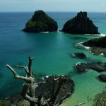 quase-50%-dos-turistas-usam-redes-como-fonte-de-informacao-de-viagem