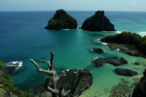 quase-50%-dos-turistas-usam-redes-como-fonte-de-informacao-de-viagem