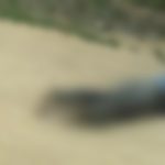 homem-e-encontrado-morto-com-marcas-de-tiros-e-bilhete-sob-o-corpo-em-cabralia