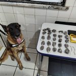 suspeito-e-preso-com-maconha-e-crack-apos-acao-policial-em-itabata