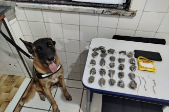 suspeito-e-preso-com-maconha-e-crack-apos-acao-policial-em-itabata