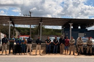 operacao-integrada-retira-animais-soltos-da-br-418-e-reforca-seguranca-viaria