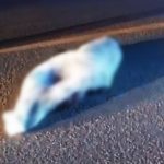 mulher-morre-atropelada-em-frente-ao-motel-na-rodovia-entre-prado-e-itamaraju