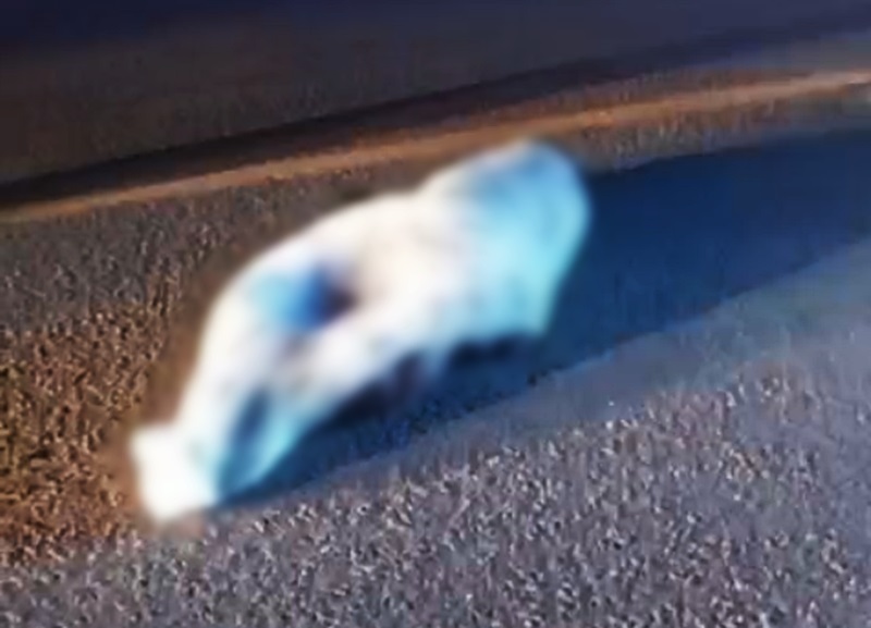 mulher-morre-atropelada-em-frente-ao-motel-na-rodovia-entre-prado-e-itamaraju