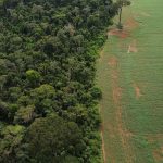 brasil-apresenta-solucoes-de-financiamento-climatico-em-nova-york