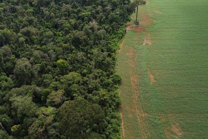 brasil-apresenta-solucoes-de-financiamento-climatico-em-nova-york