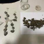 pm-prende-suspeito-com-drogas-durante-rondas-em-teixeira-de-freitas