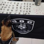 policia-apreende-drogas-em-acao-contra-o-trafico-no-distrito-de-itabata