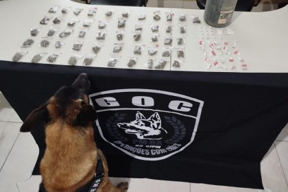 policia-apreende-drogas-em-acao-contra-o-trafico-no-distrito-de-itabata