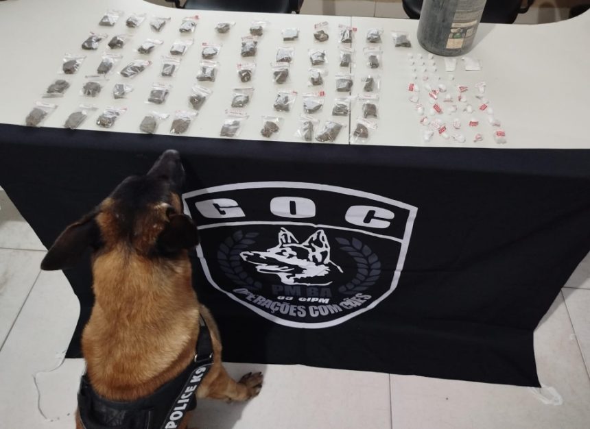 policia-apreende-drogas-em-acao-contra-o-trafico-no-distrito-de-itabata