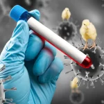 gripe-aviaria:-argentina-se-autodeclara-livre-da-doenca-a-omsa